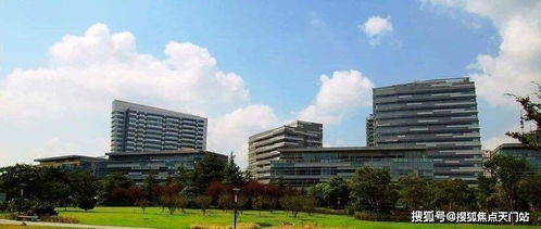 上海普陀北岸長風 數字化轉型浪潮下的中小企業網絡技術服務新高地